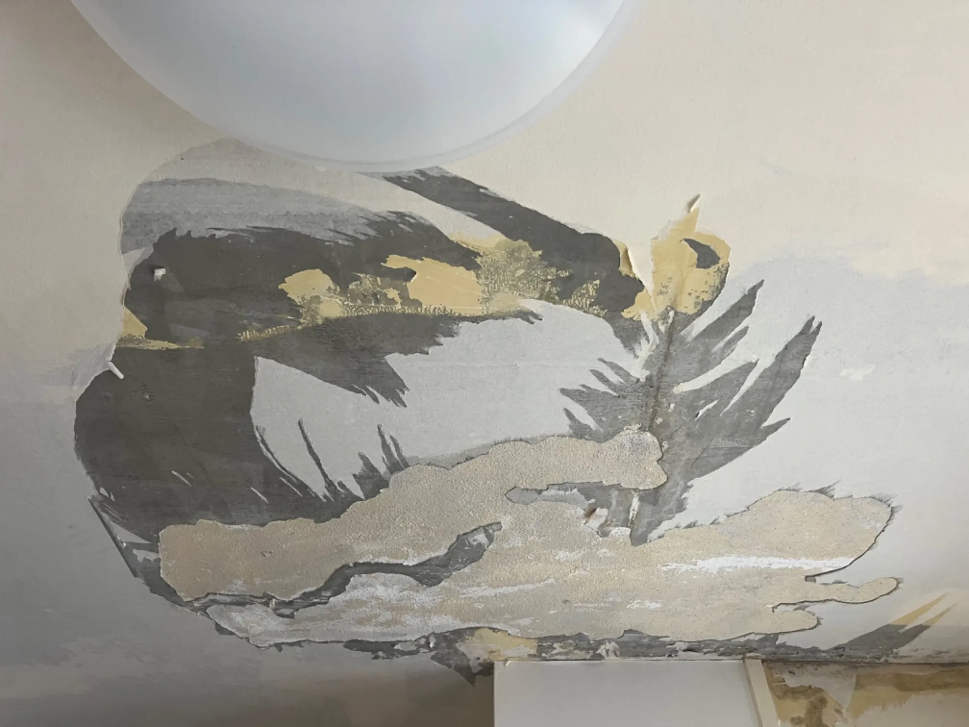 【尼崎市】天井修繕工事